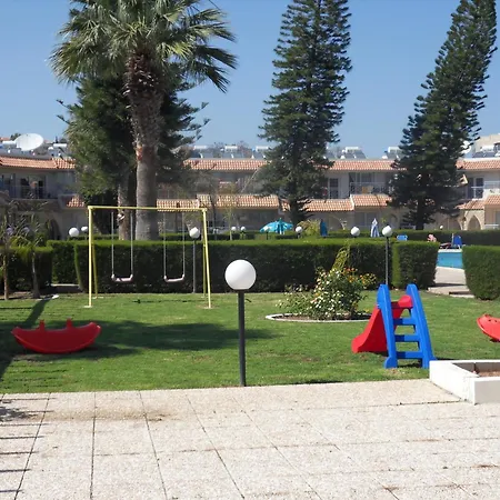 Palm 14